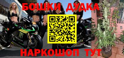 шишки Пугачёв