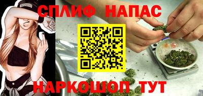 шишки Пугачёв
