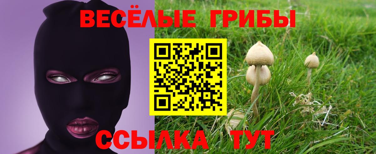 Сухой Лог  наркошоп  Вход с VPN  Псилоцибиновые грибы ЛСД 